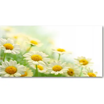 Obraz Kuchyňský panel mezi skříňky Stokrotki 140x70 + lepidlo