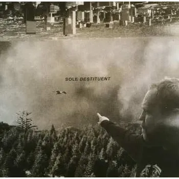 Zahraniční hudba LP Sole: Destituent 2019