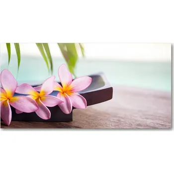 Obraz Kuchyňský panel mezi skříňky Plumeria 140x70 + lepidlo