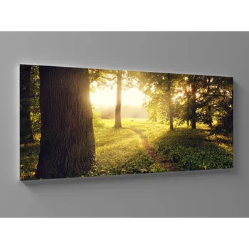 Obraz XXL obraz ranní úsvit v lese Rozměr: 200 x 100 cm