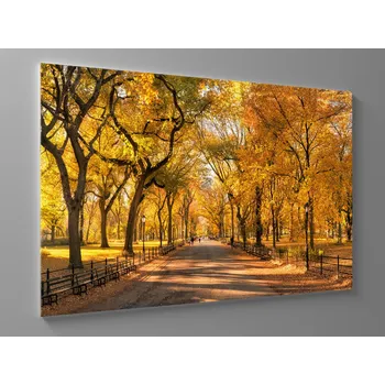 Obraz Obraz podzim v central parku Rozměr: 60 x 40 cm