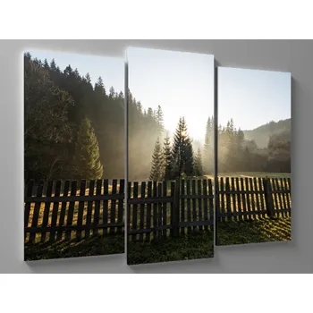 Obraz Obraz proslůněný výhled za plot Rozměr: 75 x 50 cm