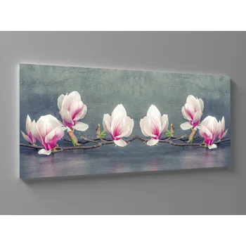 Obraz Obraz kvetoucí větev magnólie Rozměr: 60 x 25 cm