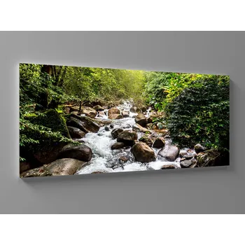 Obraz Obraz divoká řeka Rozměr: 60 x 25 cm