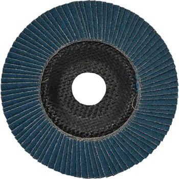 Brusný kotouč C4617 10x Lamelový brusný kotouč 125x22,2 zr.80 PRO