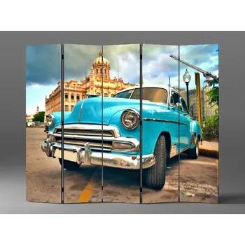 Paraván Paraván havana auto Rozměr: 225 x 180 cm
