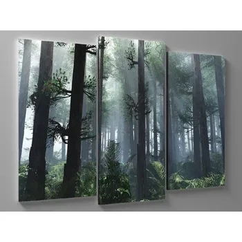 Obraz Obraz tropický prales Rozměr: 60 x 40 cm