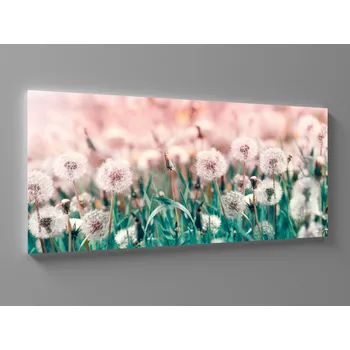 Obraz XXL obraz pampelišky Rozměr: 200 x 100 cm