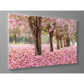 Obraz Obraz rozkvetlé růžové květy Rozměr: 60 x 40 cm