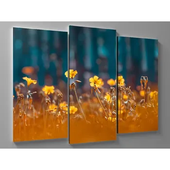 Obraz Obraz detail žlutých máků Rozměr: 60 x 40 cm