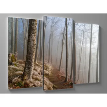 Obraz Obraz cesta lesem v mlze Rozměr: 60 x 40 cm