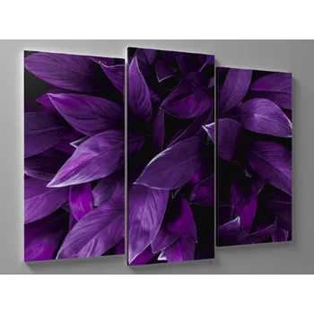 Obraz Obraz tropické fialové listy Rozměr: 90 x 60 cm