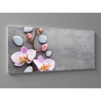 Obraz XXL obraz orchidej na šedém pozadí Rozměr: 200 x 100 cm