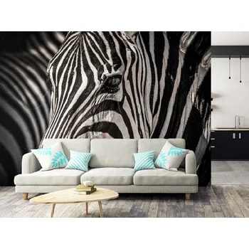 Tapeta Tapeta portrét zebry zblízka