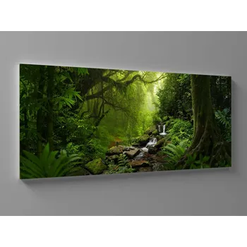 Obraz XXL obraz deštný prales Rozměr: 200 x 100 cm