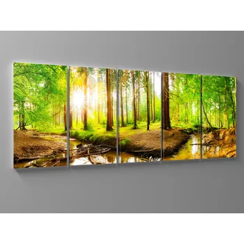 Obraz Obraz lesní potok Rozměr: 100 x 40 cm