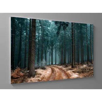 Obraz Obraz chladný les Rozměr: 90 x 60 cm