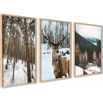 Obraz Plakát Plakáty bez rámu 30x40 cm - Bez rámu, 30 x 40 cm