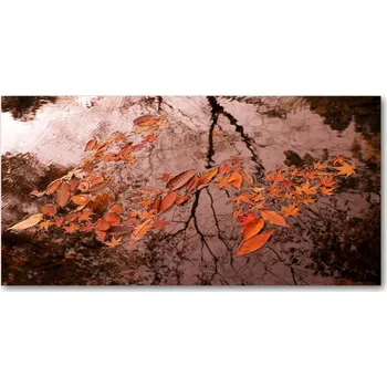 Obraz Kuchyňský panel Listy na vodě 100x50 cm + LEPIDLO