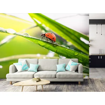 Tapeta Tapeta beruška v trávě