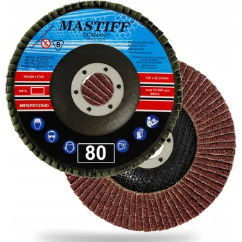 Brusný kotouč LAMELOVÝ BRUSNÝ KOTOUČ 125mm, P80