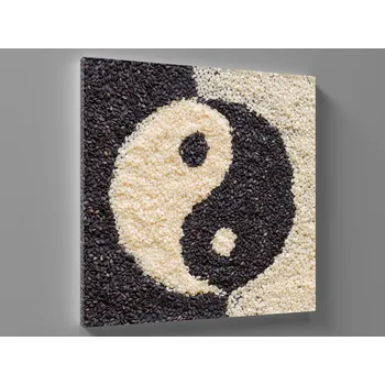 Obraz Obraz jin jang Rozměr: 40 x 40 cm