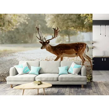 Tapeta Tapeta jelen v lese