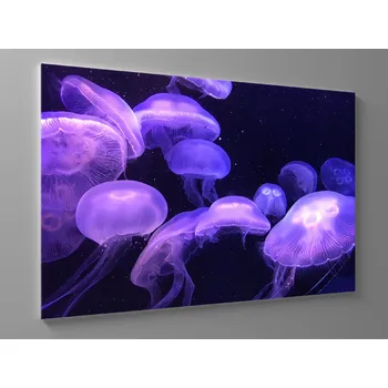 Obraz Obraz medúzy v moři Rozměr: 60 x 40 cm