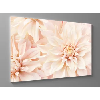 Obraz Obraz růžové květy Rozměr: 60 x 40 cm