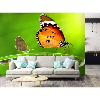 Tapeta Tapeta motýl a kapky vody