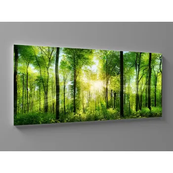 Obraz Obraz prosluněný zelený les Rozměr: 60 x 25 cm
