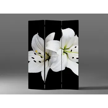 Paraván Paraván lilie na černém pozadí Rozměr: 135 x 180 cm
