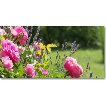 Obraz Ochranný panel Šípková růže 100x50 cm + LEPIDLO