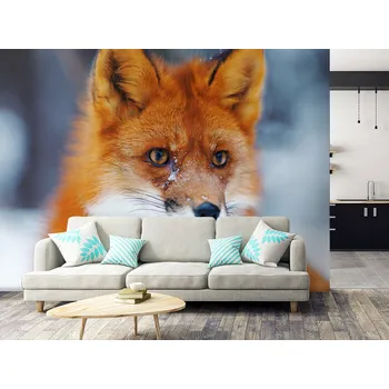 Tapeta Tapeta liška zblízka