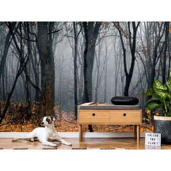 Tapeta Tapeta mystický les