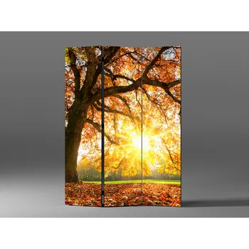 Paraván Paraván strom v západu slunce Rozměr: 135 x 180 cm
