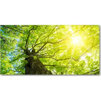 Obraz Panel do kuchyně Kaštan na jaře 100 x 50 cm + LEPIDLO