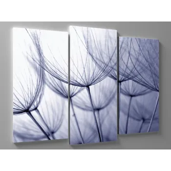 Obraz Obraz studené pampelišky Rozměr: 60 x 40 cm