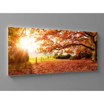 Obraz Obrazyzbeskyd.cz 60 x 25 cm moderna