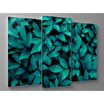 Obraz Obraz variace zelených listů Rozměr: 75 x 50 cm