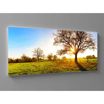 Obraz Obraz košatý strom Rozměr: 60 x 25 cm