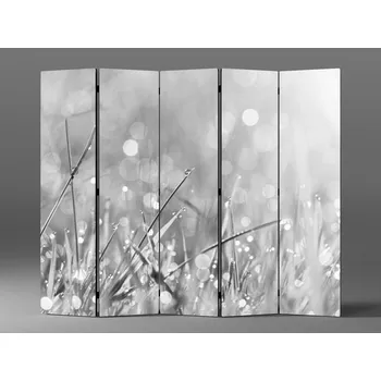 Paraván Paraván černobílá ranní rosa Rozměr: 225 x 180 cm