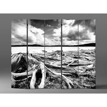 Paraván Černobílý paraván přehrada čr Rozměr: 225 x 180 cm