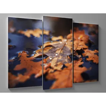 Obraz Obraz podzimní listí v jezeře Rozměr: 75 x 50 cm