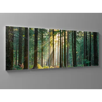 Obraz Obraz tichý les Rozměr: 125 x 50 cm