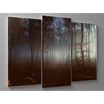 Obraz Obraz temný les Rozměr: 75 x 50 cm