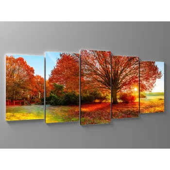 Obraz Obraz strom v paprscích slunce Rozměr: 125 x 55 cm