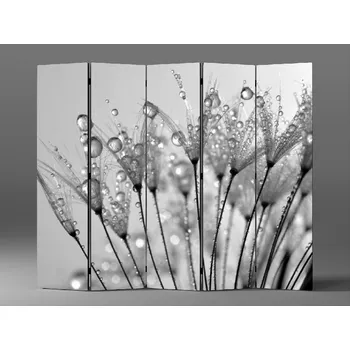 Paraván Černobílý paraván pampeliška Rozměr: 225 x 180 cm