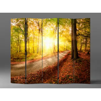 Paraván Paraván sluncem zalesněná stezka Rozměr: 225 x 180 cm