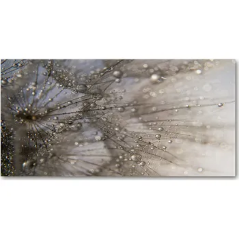 Obraz Kuchyňský panel Pampelišková semínka 100x50 cm + LEPIDLO